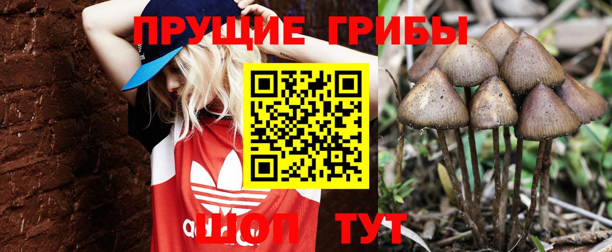 Галлюциногенные грибы GOLDEN TEACHER Гусь-Хрустальный
