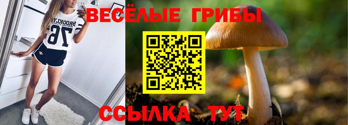 закладка  Вход с VPN  Гусь-Хрустальный  Галлюциногенные грибы Cubensis 
